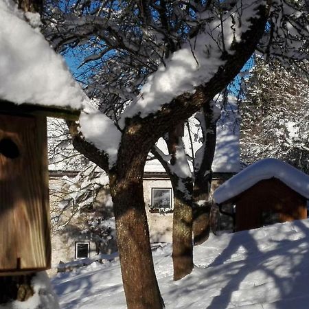 Ferienhaus Hirschnest Sankt Pankraz Exterior foto