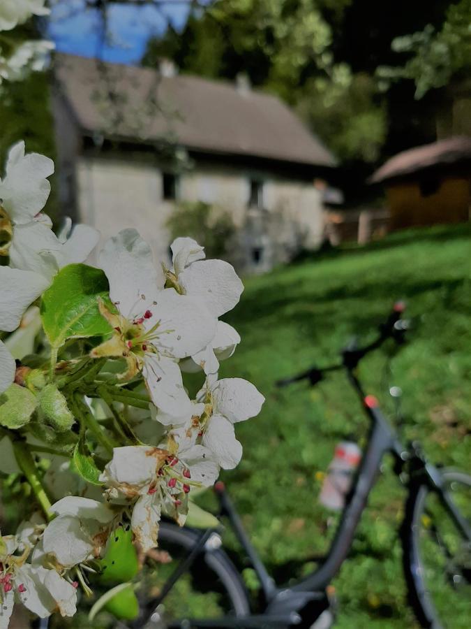 Ferienhaus Hirschnest Sankt Pankraz Exterior foto