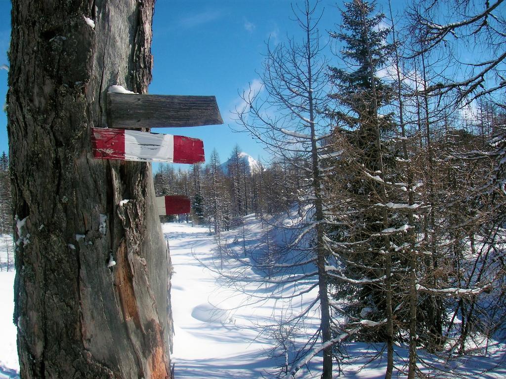 Ferienhaus Hirschnest Sankt Pankraz Exterior foto