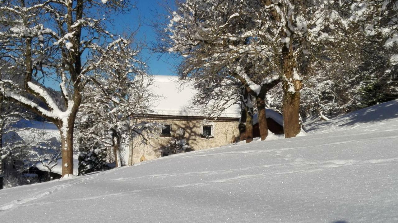Ferienhaus Hirschnest Sankt Pankraz Exterior foto