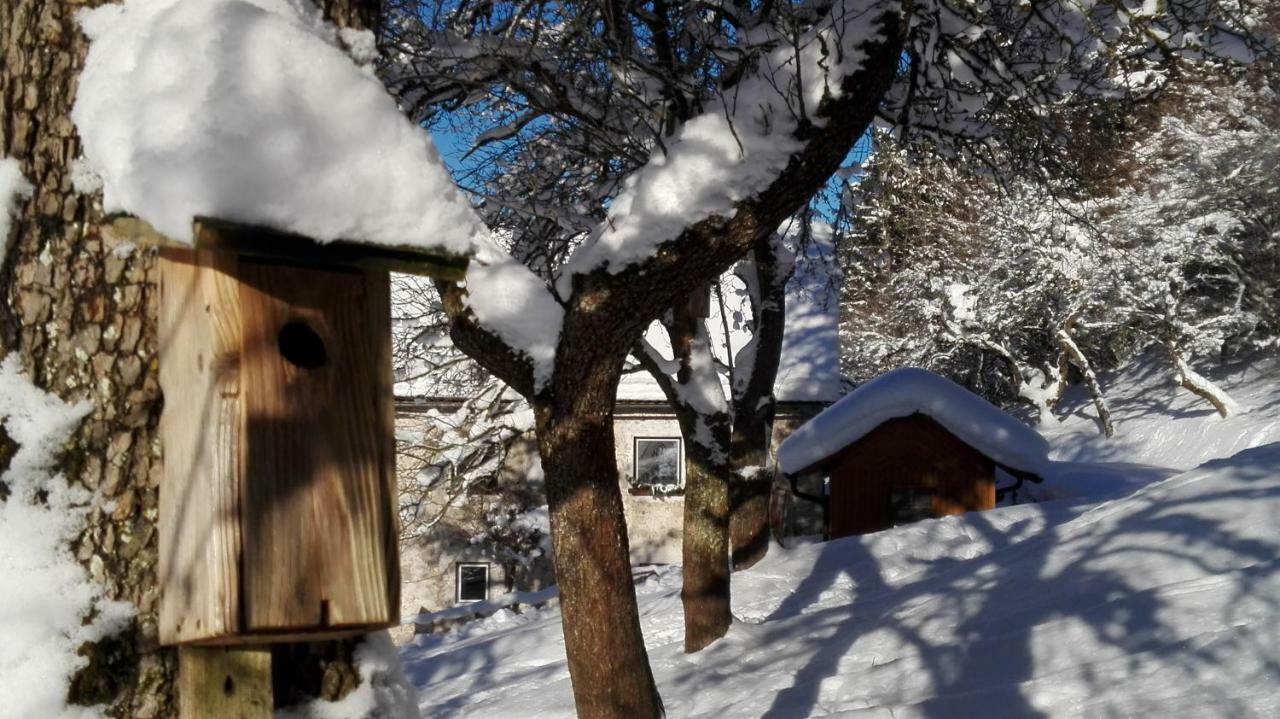 Ferienhaus Hirschnest Sankt Pankraz Exterior foto
