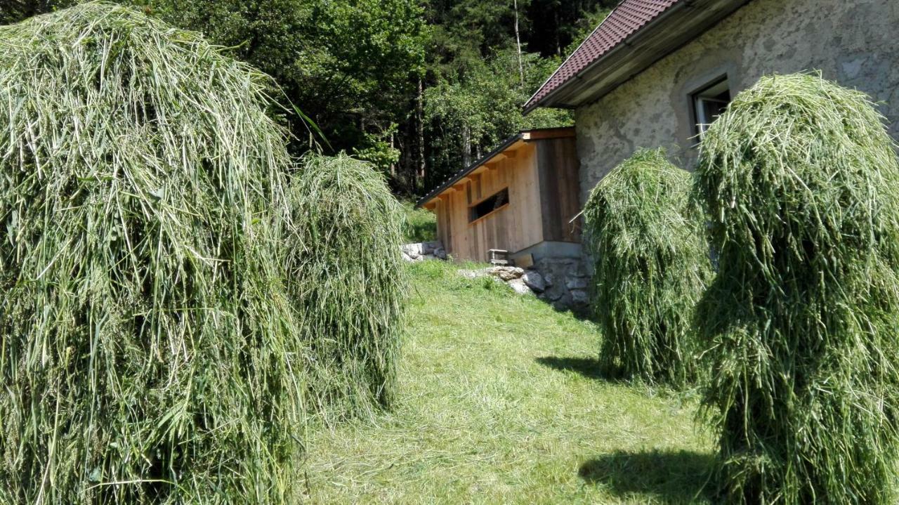 Ferienhaus Hirschnest Sankt Pankraz Exterior foto
